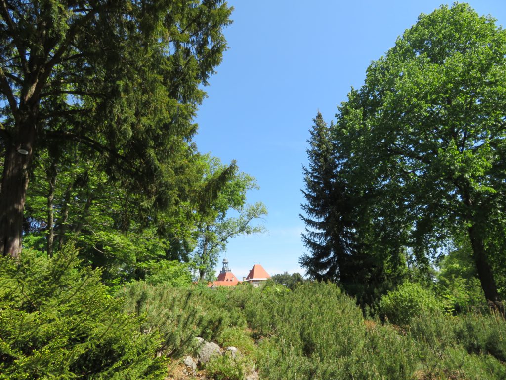 Genießen Sie Spaziergänge im Grünen